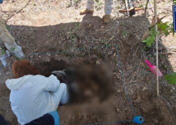 Localizan un par de osamentas durante rastreo en Moris