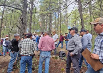 Capacita SDR y Conafor a brigadistas en técnicas de sanidad forestal