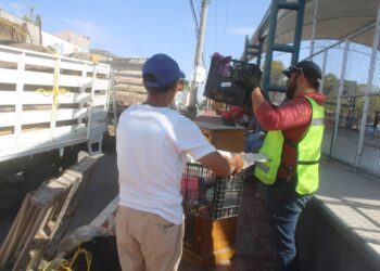 Estará Destilichadero en 8 colonias del 21 al 26 de septiembre