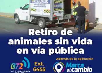 Ofrece Gobierno Municipal servicio de retiro de animales sin vida en la vía pública