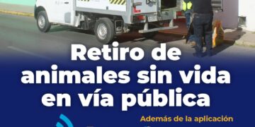 Ofrece Gobierno Municipal servicio de retiro de animales sin vida en la vía pública