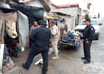 Resguarda Gobierno Municipal a tres cachorros por presunto maltrato animal