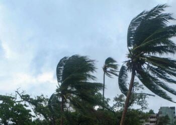 CNPC pide reforzar medidas de protección ante tormenta tropical Marie