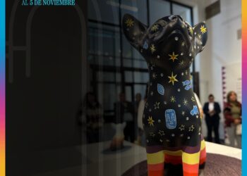 Visita los museos municipales y disfrutar de sus exposiciones vigentes